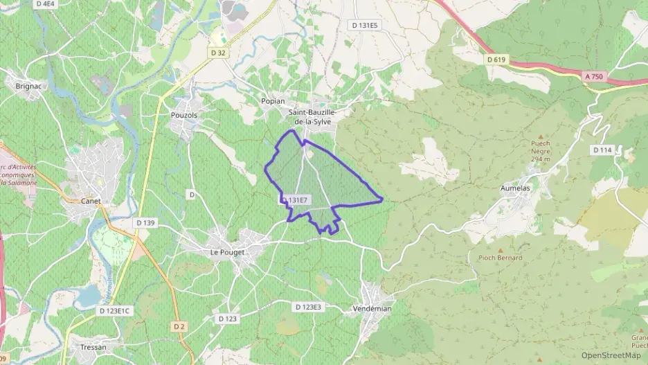 Maison 119 m² quatre pièces à vendre à Saint-Bauzille-de-la-Sylve