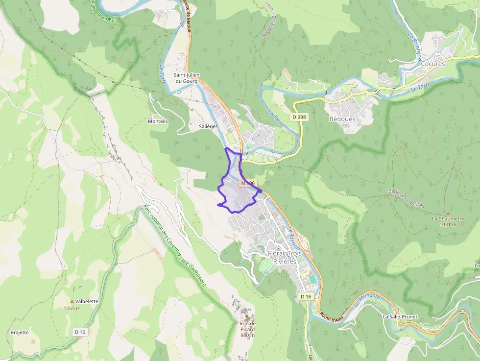 Maison 79 m² quatre pièces à vendre à Florac Trois Rivières
