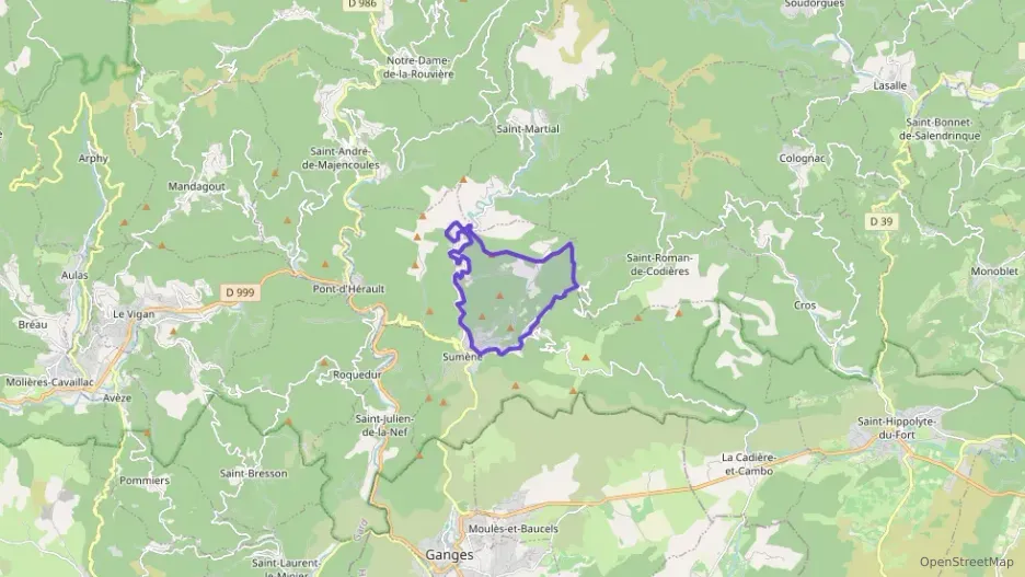 Maison 110 m² quatre pièces à vendre à Sumène Maison 110 m² quatre pièces à vendre à Sumène