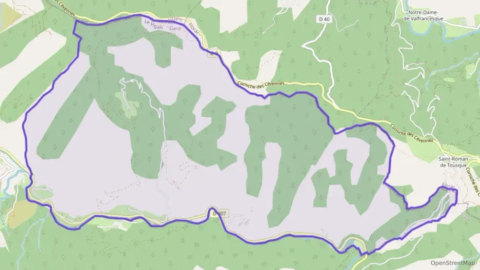 Maison 32 m² deux pieces à vendre à Saint-André-de-Valborgne