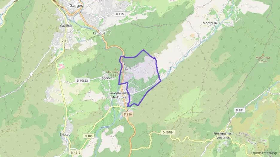 Maison 95 m² quatre pièces à vendre à Saint-Bauzille-de-Putois