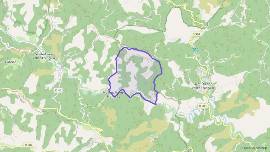 Maison 110 m² quatre pièces à vendre à Moissac-Vallée-Française