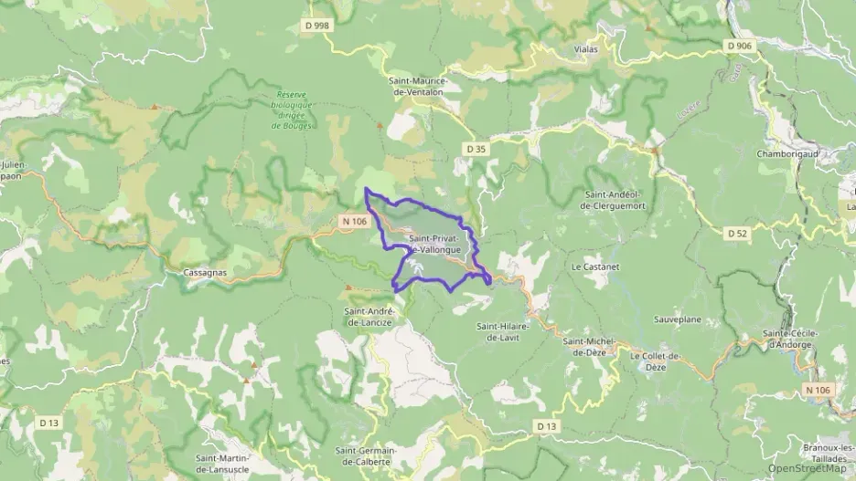 Maison 66 m² trois pièces à vendre à Saint-Privat-de-Vallongue
