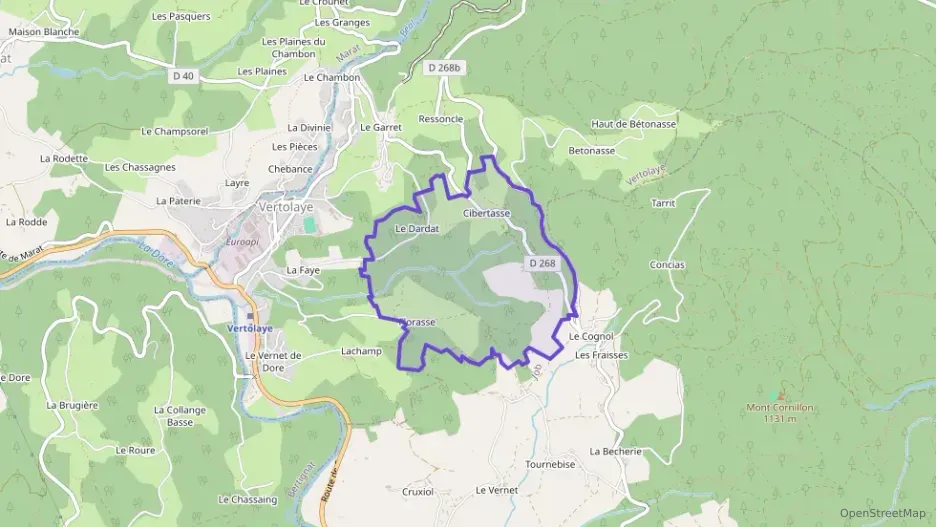 Maison 130 m² cinq pièces à vendre à Vertolaye