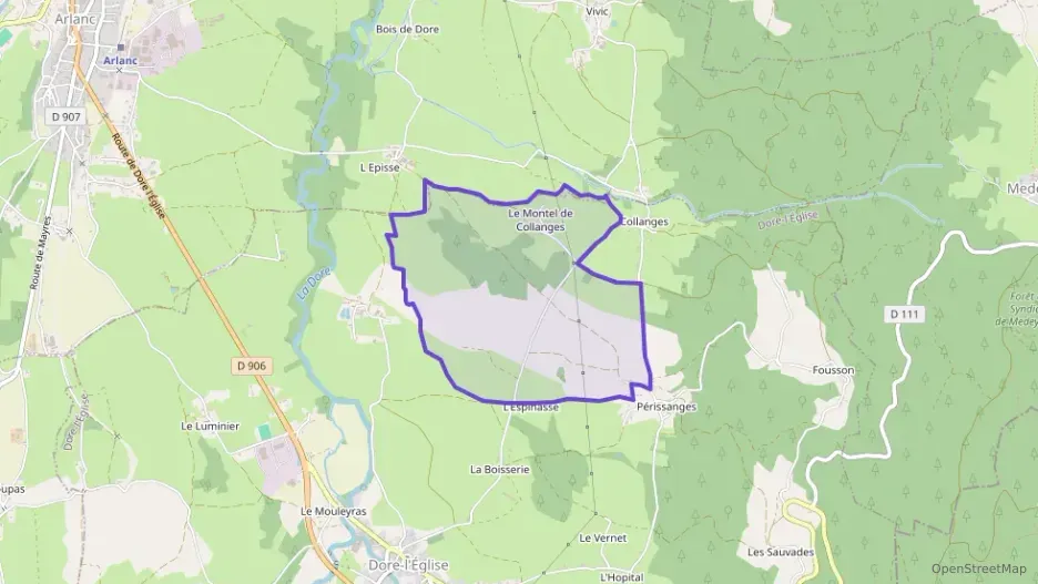 Maison 42 m² deux pieces à vendre à Dore-l`Église