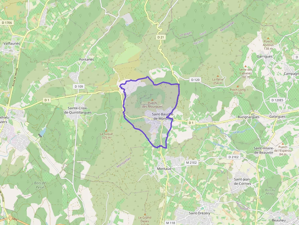 Maison 93 m² quatre pièces à vendre à Saint-Bauzille-de-Montmel