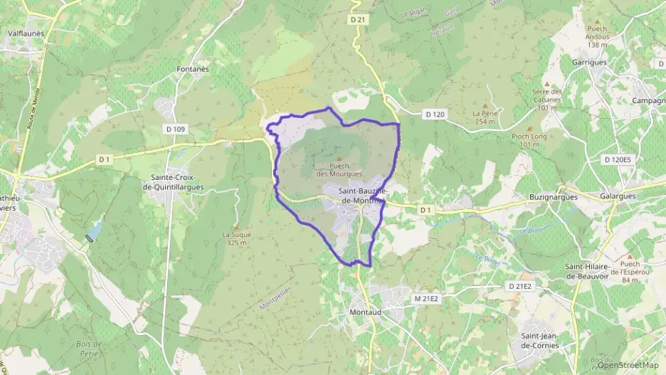 Maison 125 m² quatre pièces à vendre à Saint-Bauzille-de-Montmel