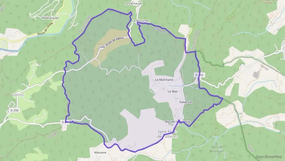 Maison 190 m² cinq pièces à vendre à Saint-Félix-de-Pallières