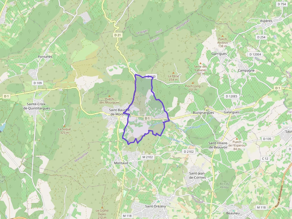 Maison 70 m² quatre pièces à vendre à Saint-Bauzille-de-Montmel