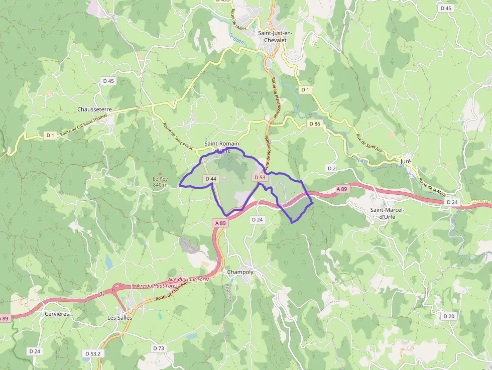 Maison 40 m² trois pièces à vendre à Saint-Romain-d`Urfé