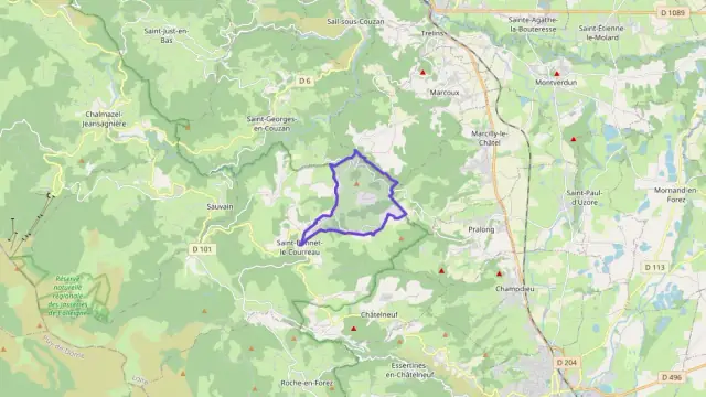 Maison 83 m² trois pièces à vendre à Saint-Bonnet-le-Courreau