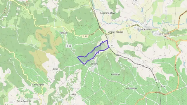 Maison 209 m² 7 pièces à vendre à Vindrac-Alayrac