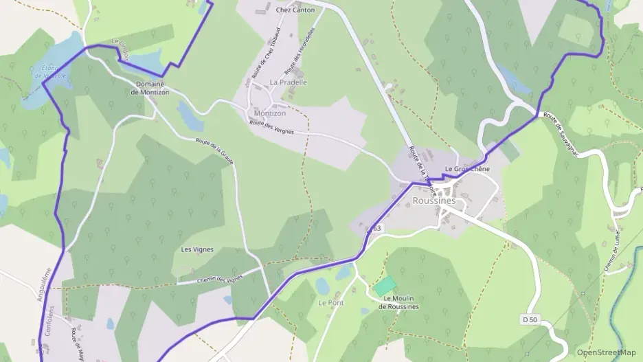 Maison 180 m² quatre pièces à vendre à Roussines Maison 180 m² quatre pièces à vendre à Roussines