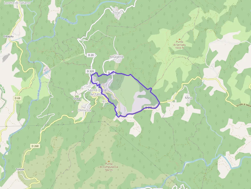 Maison 60 m² quatre pièces à vendre à Sainte-Lucie-de-Tallano