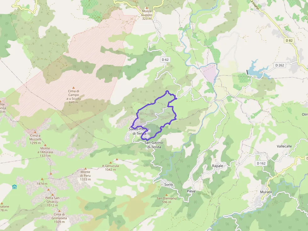 Maison 68 m² quatre pièces à vendre à Santo-Pietro-di-Tenda