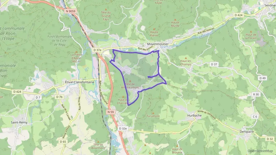 Maison 95 m² quatre pièces à vendre à Moyenmoutier Maison 95 m² quatre pièces à vendre à Moyenmoutier