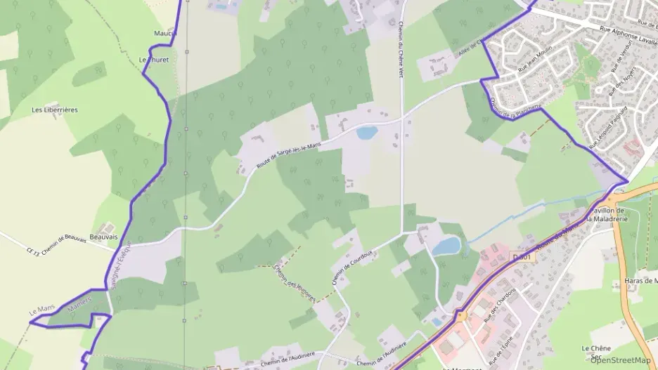 Maison 48 m² deux pieces à vendre à Savigné-l`Évêque