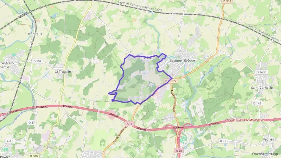 Maison 48 m² deux pieces à vendre à Savigné-l`Évêque