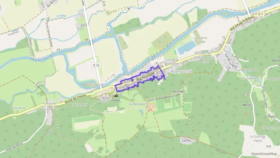 Maison 175 m² sept pièces à vendre à Rigny-Ussé Maison 175 m² sept pièces à vendre à Rigny-Ussé