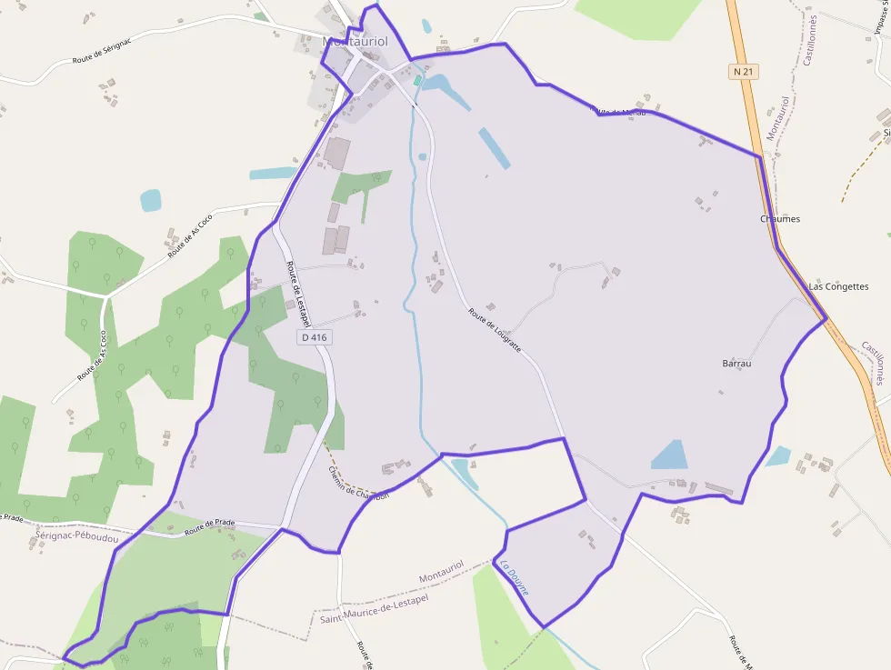 Maison 263 m² 6 pièces à vendre à Montauriol