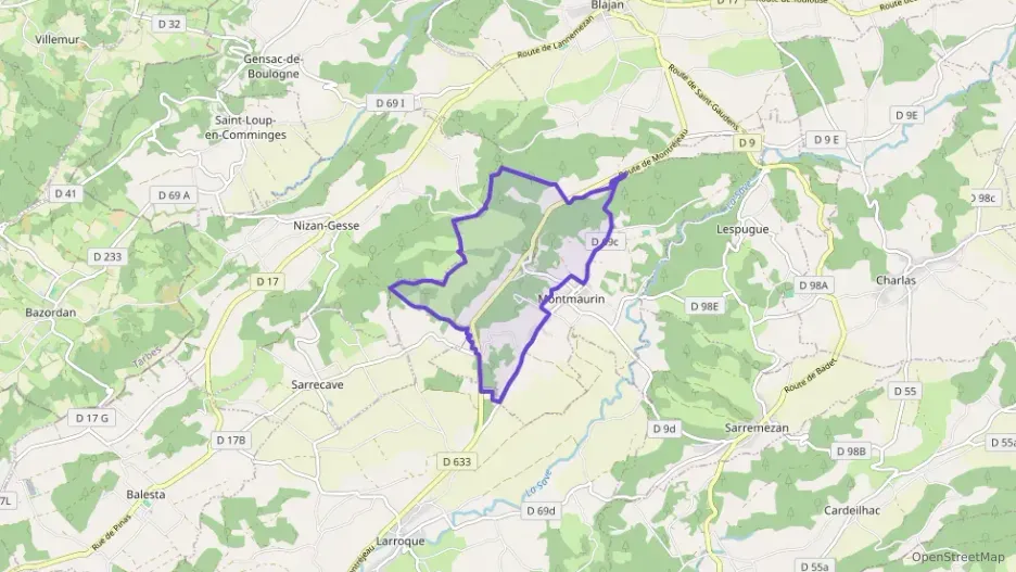 Maison 47 m² trois pièces à vendre à Montmaurin