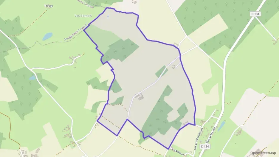 Maison 159 m² cinq pièces à vendre à Leigné-les-Bois
