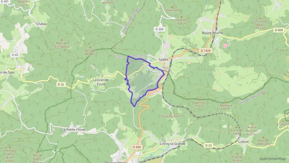 Maison 131 m² cinq pièces à vendre à La Grande-Fosse Maison 131 m² cinq pièces à vendre à La Grande-Fosse