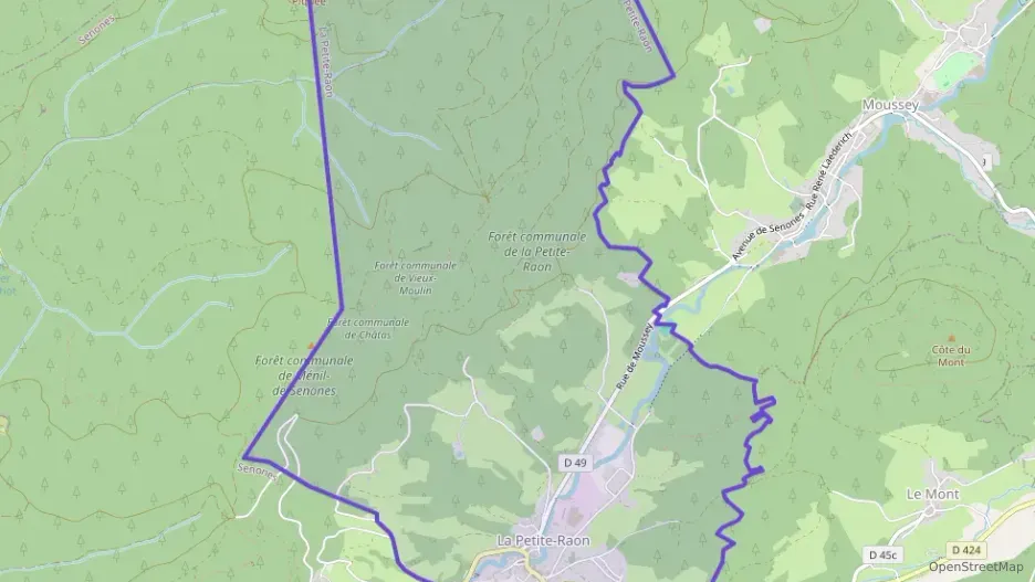 Maison 110 m² sept pièces à vendre à La Petite-Raon