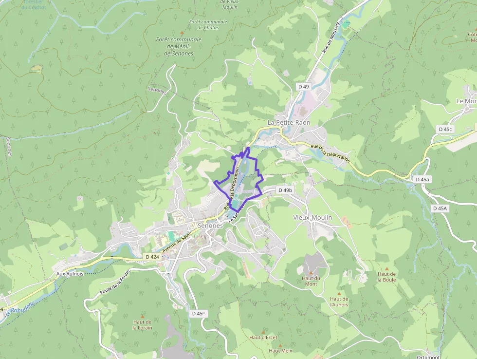 Maison 63 m² quatre pièces à vendre à Senones