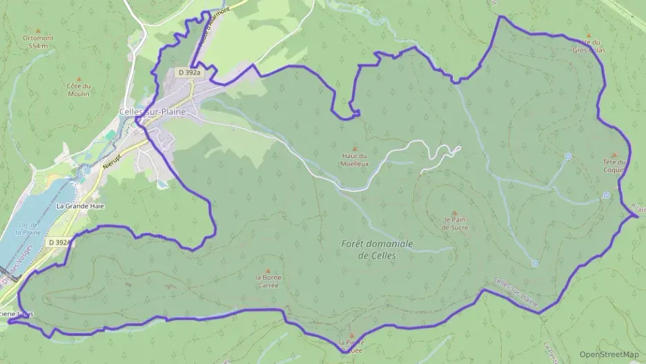 Maison 252 m² cinq pièces à vendre à Celles-sur-Plaine