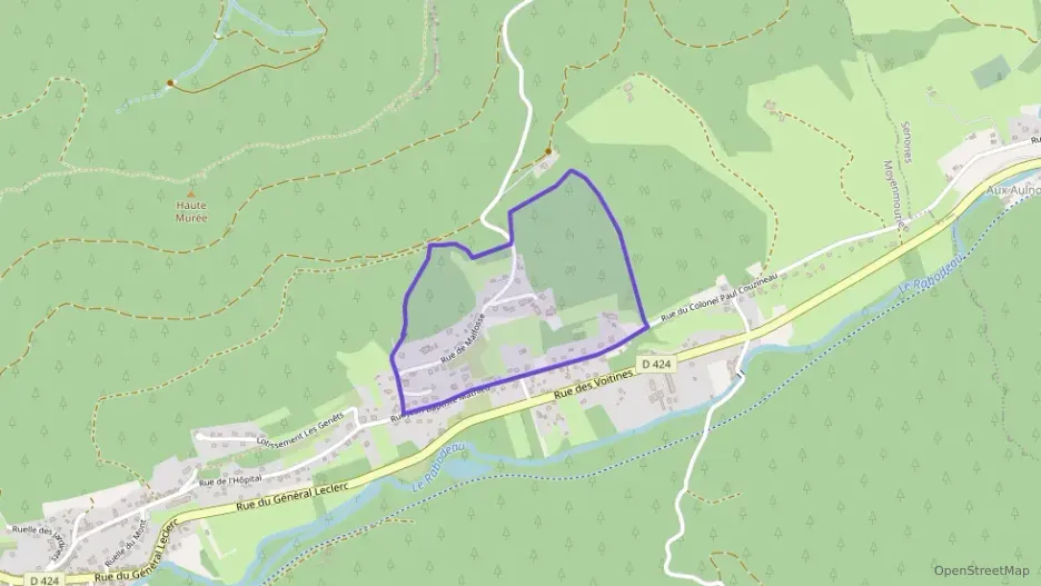 Maison 168 m² six pièces à vendre à Moyenmoutier