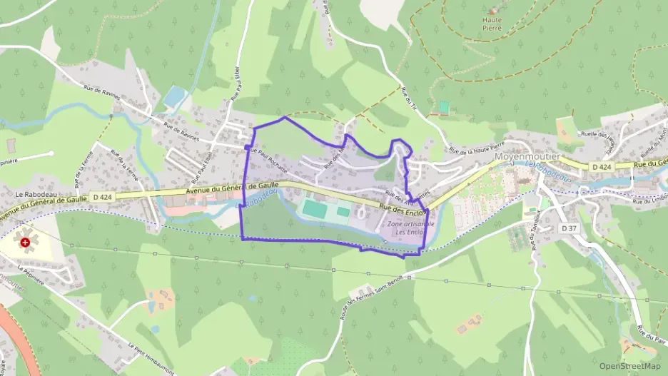 Maison 75 m² quatre pièces à vendre à Moyenmoutier