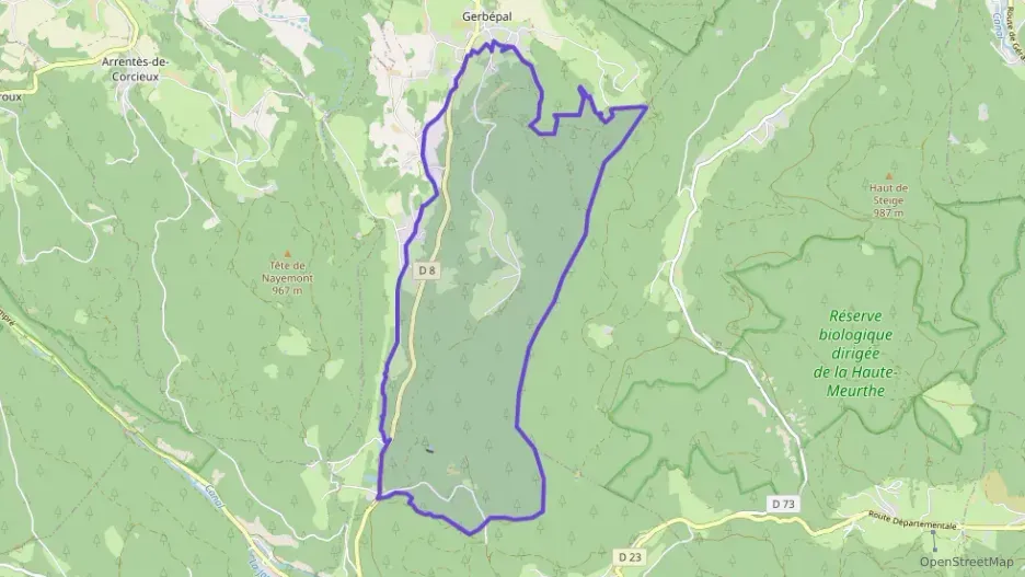 Maison 126 m² cinq pièces à vendre à Gerbépal