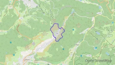 Maison 100 m² cinq pièces à vendre à La Bresse