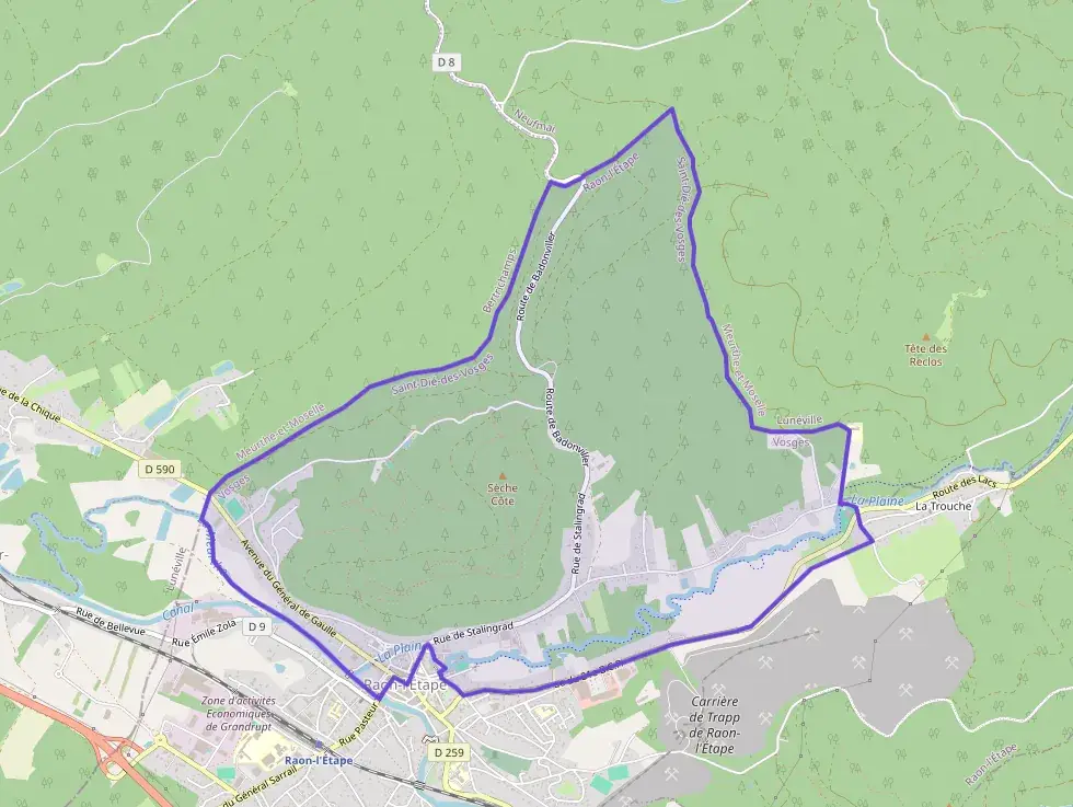 Maison 78 m² quatre pièces à vendre à Raon-l`Étape