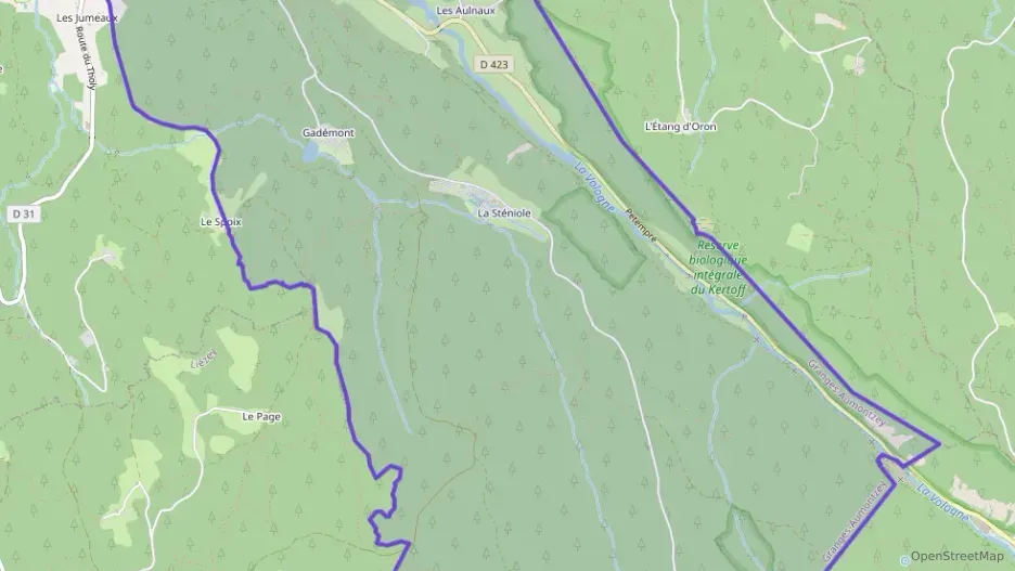 Maison 65 m² quatre pièces à vendre à Granges-Aumontzey