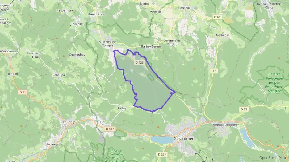 Maison 65 m² quatre pièces à vendre à Granges-Aumontzey