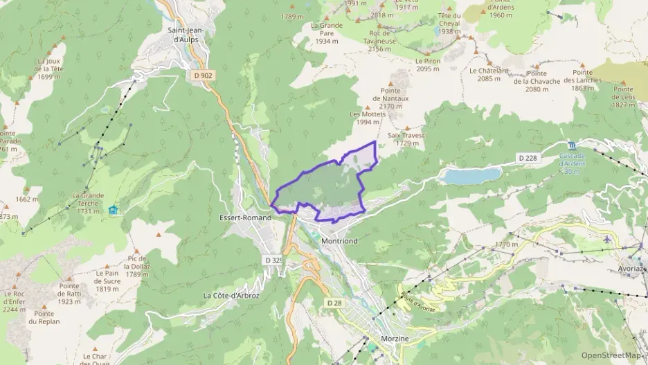 Maison 80 m² trois pièces à vendre à Montriond Maison 80 m² trois pièces à vendre à Montriond