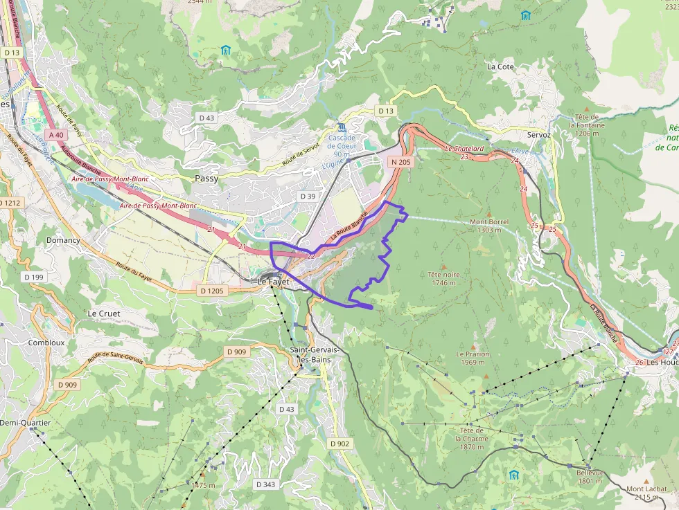 Maison 172 m² 7 pièces à vendre à Passy