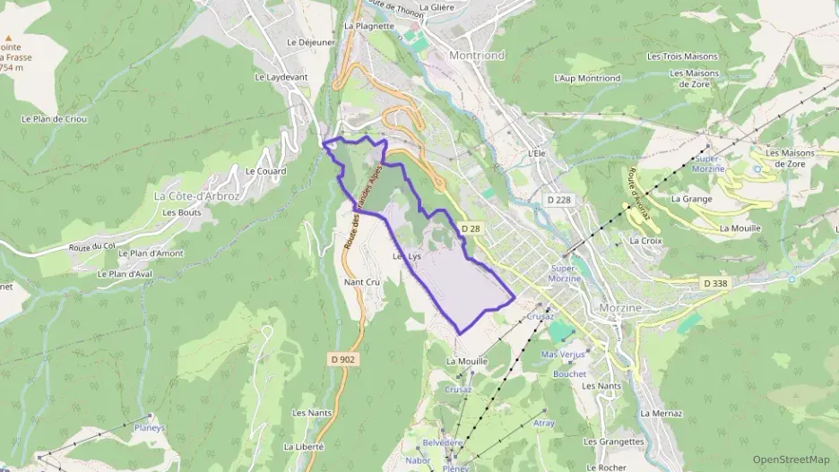 Maison 158 m² cinq pièces à vendre à Morzine Maison 158 m² cinq pièces à vendre à Morzine