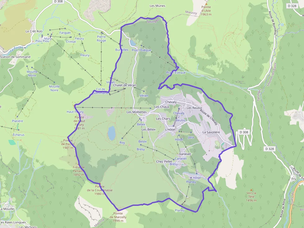 Property
