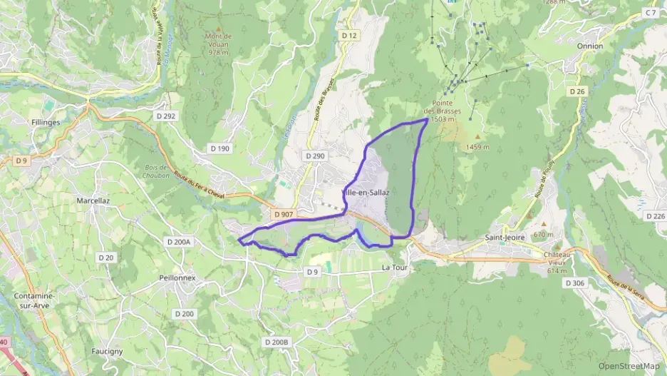 Maison 48 m² trois pièces à vendre à Ville-en-Sallaz