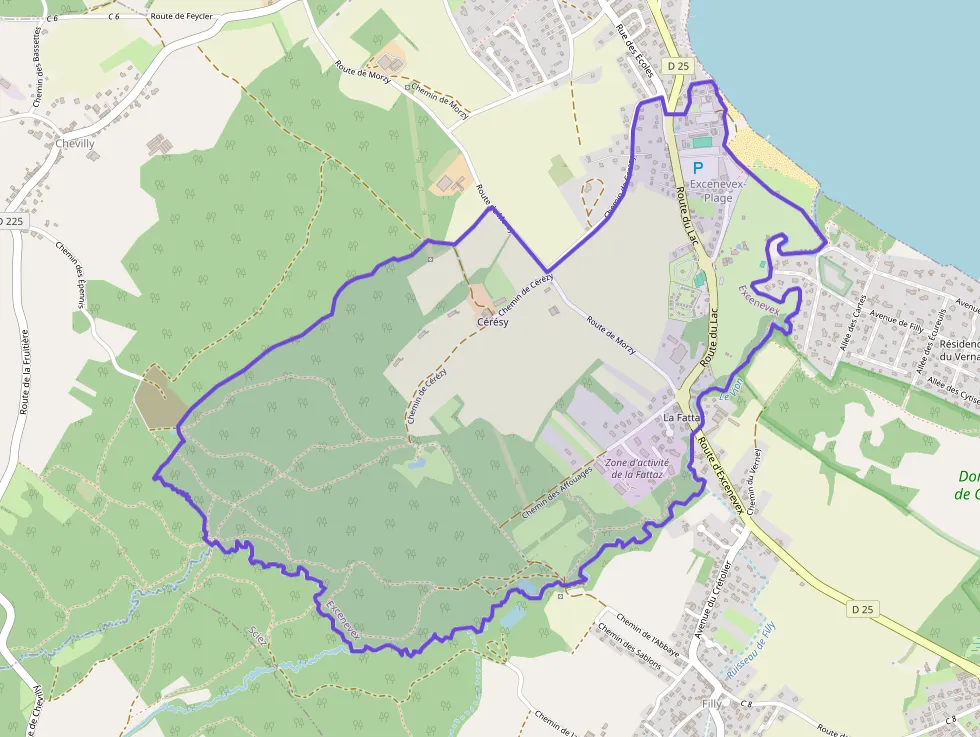 Maison 79 m² quatre pièces à vendre à Excenevex