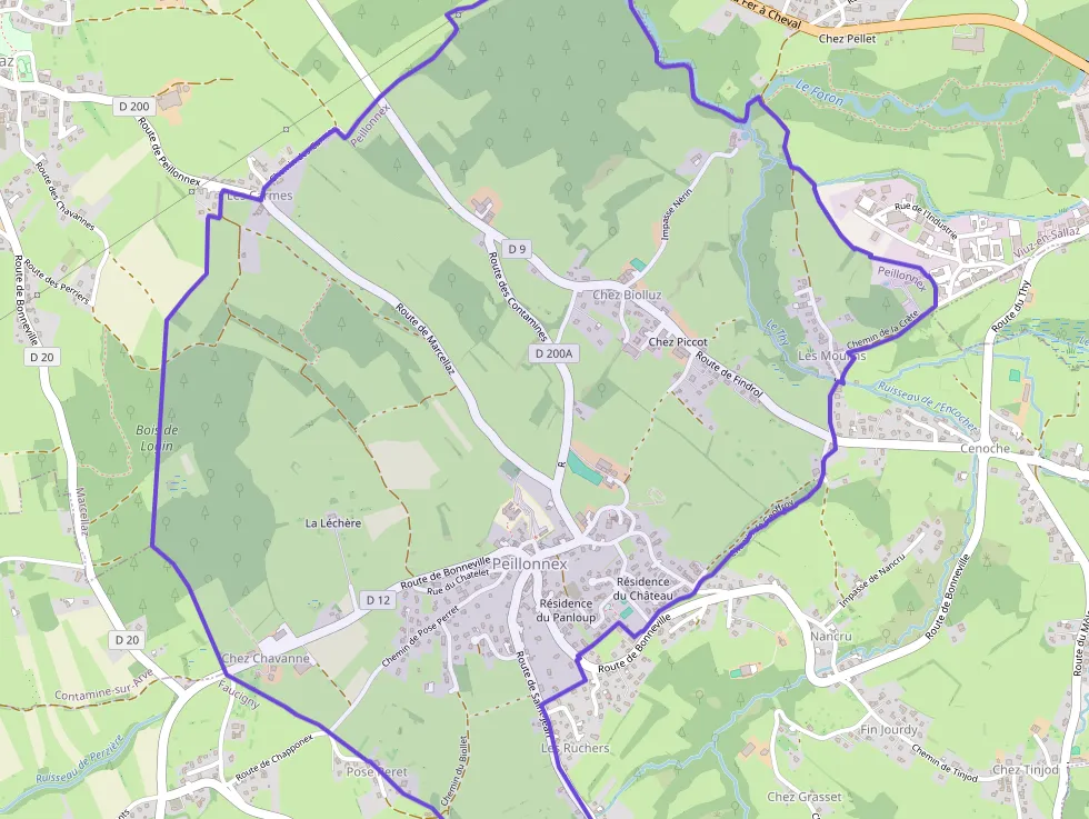 Maison 147 m² 5 pièces à vendre à Peillonnex