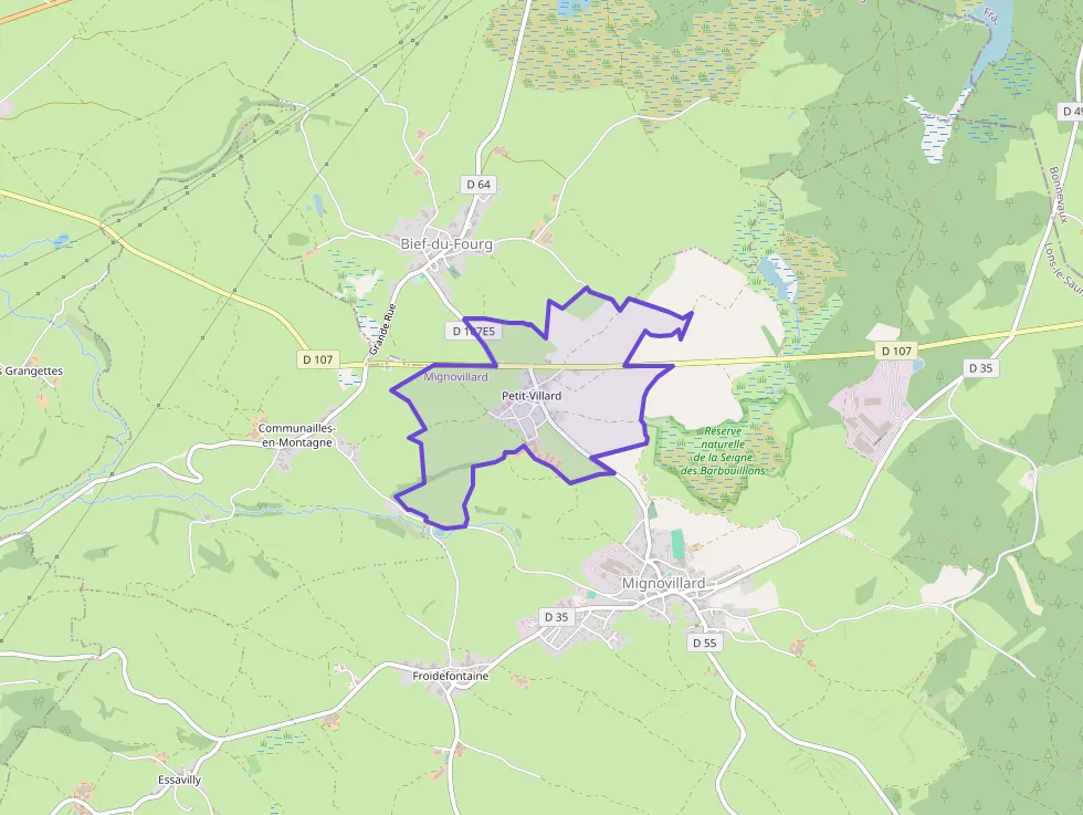 Maison 160 m² 5 pièces à vendre à Mignovillard