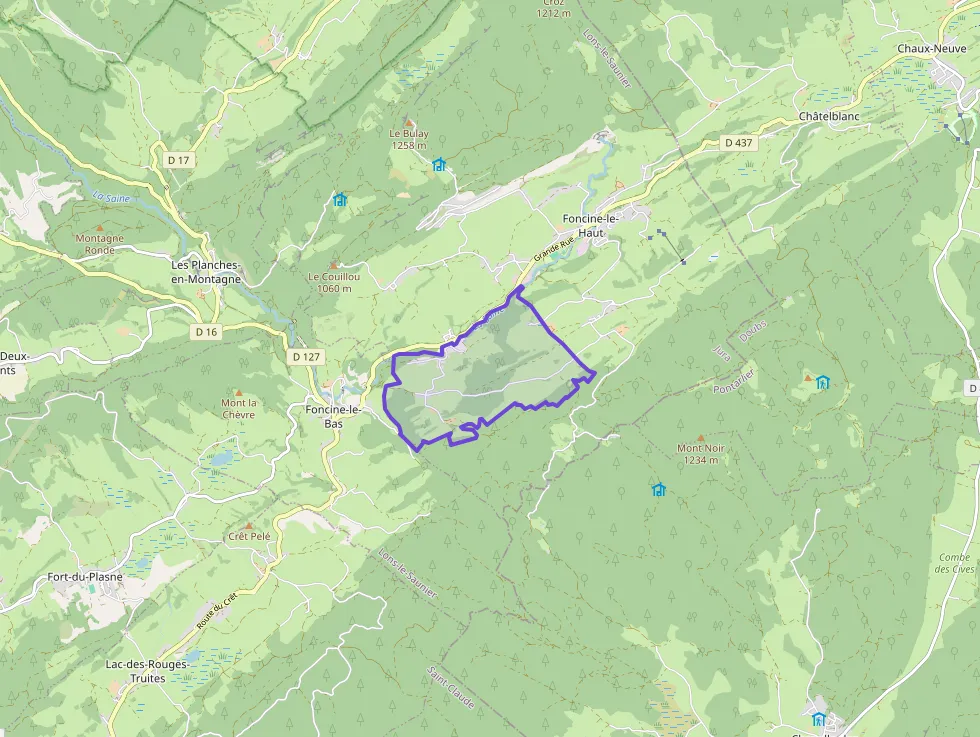 Maison 140 m² 5 pièces à vendre à Foncine-le-Haut