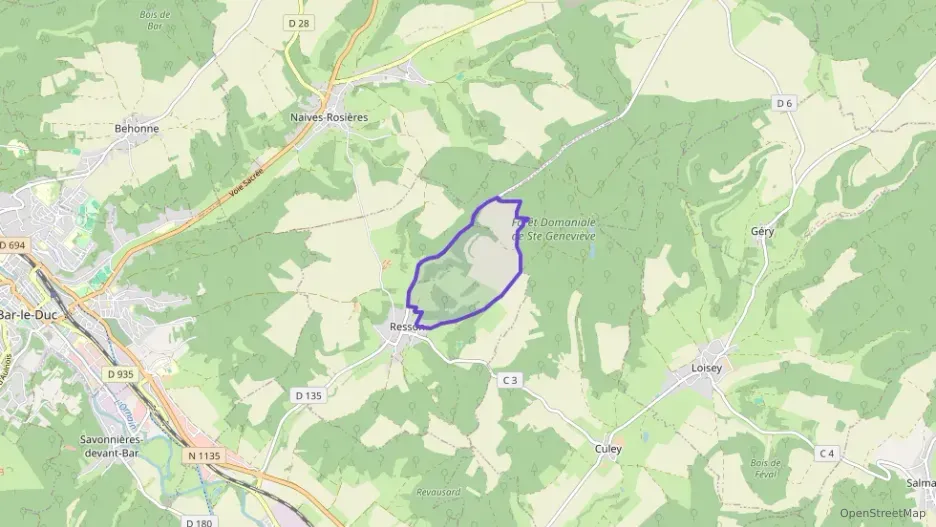 Maison 141 m² quatre pièces à vendre à Resson Maison 141 m² quatre pièces à vendre à Resson