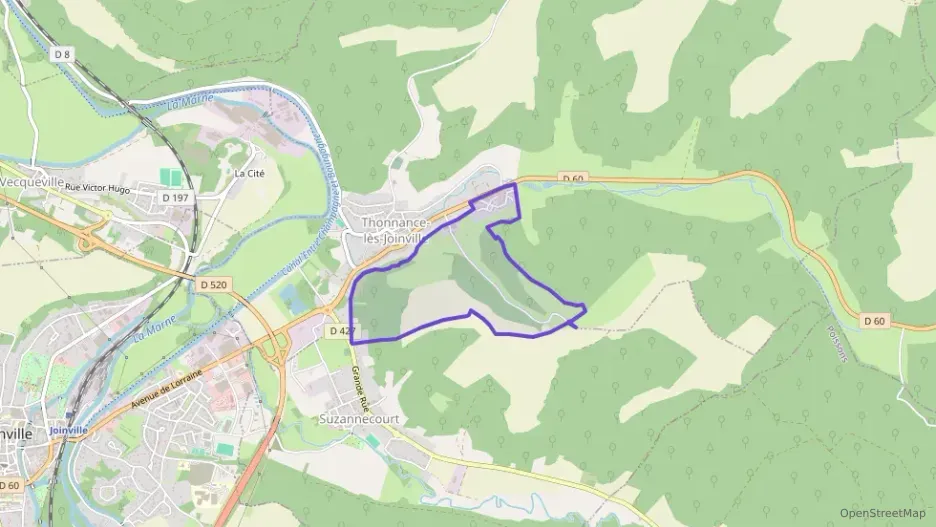 Maison 96 m² quatre pièces à vendre à Thonnance-lès-Joinville Maison 96 m² quatre pièces à vendre à Thonnance-lès-Joinville