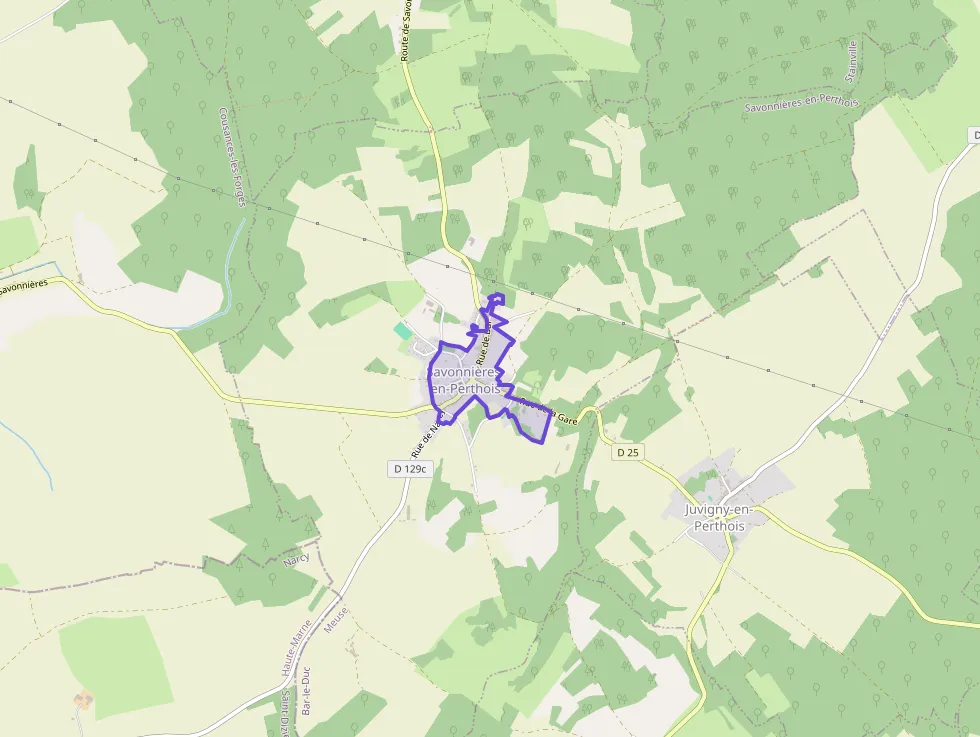 Maison 217 m² 7 pièces à vendre à Savonnières-en-Perthois