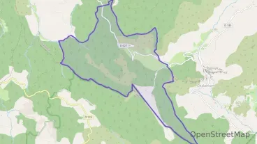 Maison 200 m² cinq pièces à vendre à Chalancon Maison 200 m² cinq pièces à vendre à Chalancon